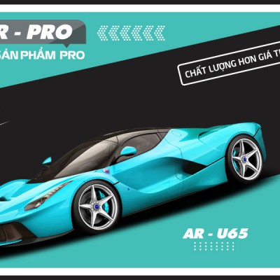  PPF ARI U65