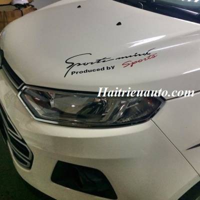 Viền đèn trước xe Ecosport 2016