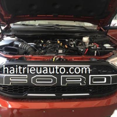 Mặt calang độ cho xe Ford Everest 2017