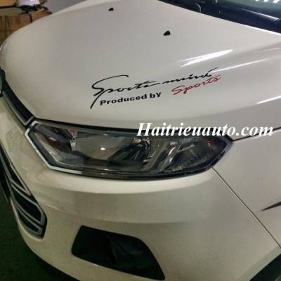 Viền đèn trước xe Ecosport 2016