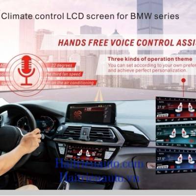 Màn hình điều hoà xe BMW F30