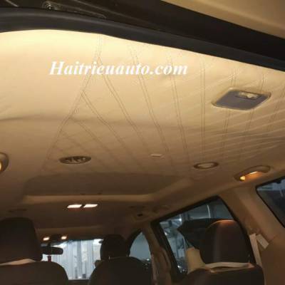 Trần 5D cho các loại xe