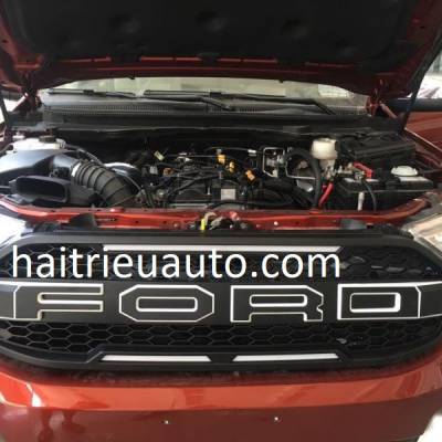 Mặt calang độ cho xe Ford Everest 2017